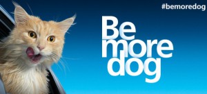 O2 brings ‘Be More Dog’ campaign to Bluewater - Douglas Stafford Mystery Shopping