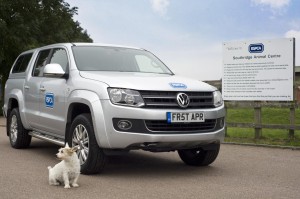 Volkswagen teaches dogs to drive - Douglas Stafford Mystery Shopping