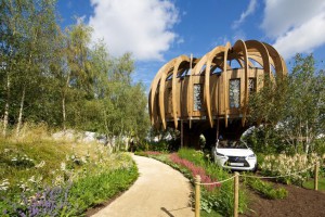 Lexus NX crossover blossoms at Hampton Court Palace Flower Show - Douglas Stafford Mystery Shopping