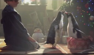 John Lewis unveils 2014 Christmas advert - Douglas Stafford Mystery Shopping